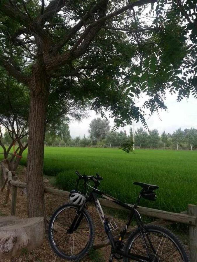 Casetes Del Delta سانت جاومي د إنفيجا المظهر الخارجي الصورة