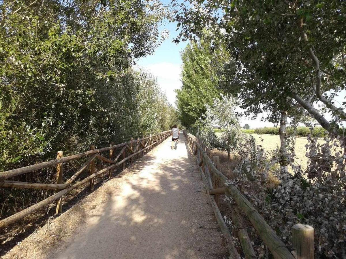 Casetes Del Delta سانت جاومي د إنفيجا المظهر الخارجي الصورة
